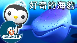 海底小纵队 - 蓝色海洋 🔵 | 集完整版