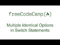 Multiple Identical Options in Switch Statements - Free Code Camp
