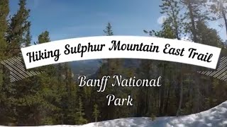 Hiking Sulphur Mountain East Trail, Banff National Park