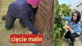 CIĘCIE MALIN