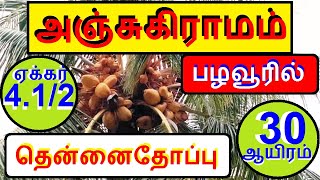 அஞ்சுகிராமம் பழவூரில் 4.1/2 ஏக்கர் தென்னைதோப்பு விற்பனைக்கு.சென்ட் 30,000 மட்டுமே.--68--020.08.10