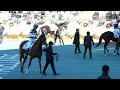 最近機会が減ったキャロットfの勝負服を纏う武豊 × プレミアスコア 中京5r 3歳未勝利 芝2000m 2022年1月22日