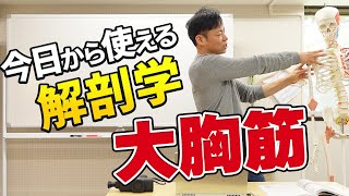 【大胸筋の解剖学】トレーナー、セラピストのための基礎知識