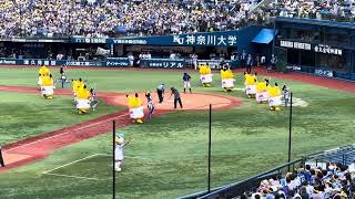 ハマスタにピカチュウ大量発生! / 横浜DeNAベイスターズ vs 中日 (2023/07/01)