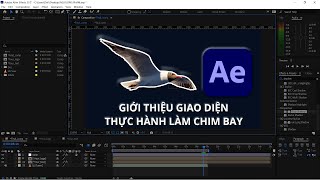 [Hướng dẫn] Bài 1: Làm quen với giao diện After Effects