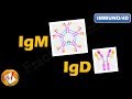 IgM, IgD : Structure, Properties and Functions (FL-Immuno/40)