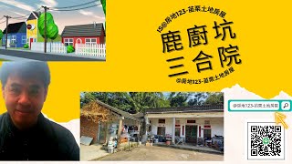 苖栗縣|頭份|鹿廚坑桐花步|丙建一筆