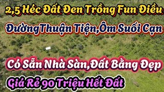 khoảng 2,5 Héc Đất Đen Trồng Fun Điều Ôm Suối Cạn Giá Rẻ Chỉ Có 90 Triệu  Hết Đất Quá Rẻ!