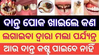 Odia Gk Question And Answers | General Knowledge Quiz | Gk In Odia | Gk Questions | Odia Gk Quiz