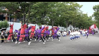 夏舞徒【4K】／NHK前ストリート（初日）／明治神宮奉納 原宿表参道元氣祭 スーパーよさこい2023