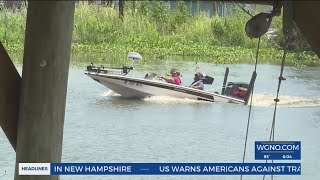 Pesky Plants: Marine vegetation in Lafitte troublesome for boaters