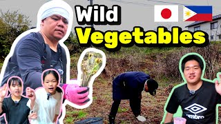 Living in Japan Country Side | Wild Vegetables | Filipino Single Father in Japan