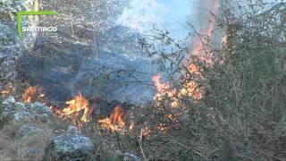 Incêndio na Montanha da Penha em Guimarães