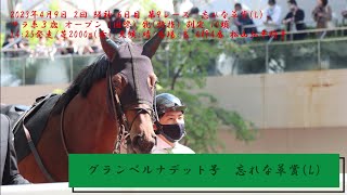 グランベルナデット号　忘れな草賞(L)戦(2023年4月9日(日))を振り返る！