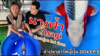 ได้ Asagi ตัวสวยกลับไทยคาร์พ Yamajyu koi farm # ล่าปลาคาร์พญี่ปุ่น EP.9