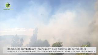 Bombeiros combatem incêndio em área florestal de Fermentões