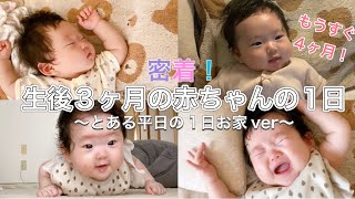 【生後3ヶ月】赤ちゃんの1日に密着/平日の1日お家での過ごし方/完母