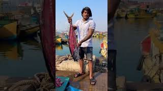 #localboinani #tona #fish #tiktoknani #subscribe plz