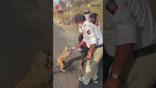 Traffic Constable Offers Water to a Thirsty Monkey | #Shorts