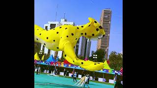 Cheetah Kite #ahmedabadkitefestival #kitefestival2025 #bigkite #patang #gujarattourism