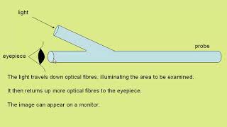 endoscopes v2