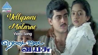 Rettai Jadai Vayasu Tamil Movie Songs | Velli Pani Malare Video Song | Ajith | Manthra | Deva