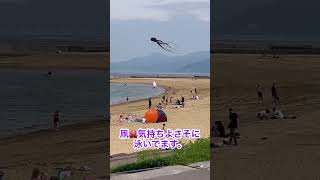 たけしの超常現象に出てた空に浮かぶ物体！