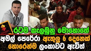 රටම කැලබුනු මොහොතේ අමල් පෙරේරා ඇතුලු 6 දෙනෙක් හොරෙන්ම ලංකාවට ඇවිත්.Amal Perera Released