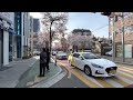 【4k】서울사람도 잘 모르는 아기자기한 벚꽃마을 만개하면 이쁘겠네 seoul s unique cherry blossom road