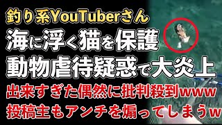 海に子猫が浮かんでいた！？猫を保護したはずの驚きの動画が動物虐待疑惑で大炎上してしまうwww【Masaニュース雑談】