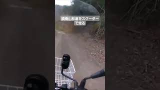 Yamaha4stGearで鎮南山林道を走る