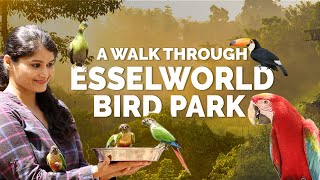 Inside Mumbai’s First Interactive Bird Park at Essel World