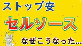 【決算】セルソースS安。なぜこうなった。今後は大丈夫なのか。