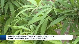 NH House Criminal Justice Committee votes to retain marijuana legalization bill