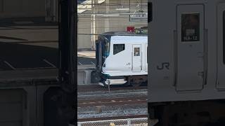 辻堂駅に停車中の特急湘南 #shorts