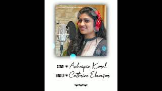 அழைப்பின் குரல் கேட்டேன் | அறிவில் குறைந்தவன் | Cathrine Ebenesar | traditional christian song