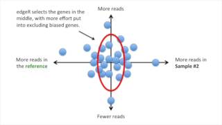 StatQuest: edgeR, part 1, Library Normalization