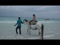 jamaican horse rider with the crucial vibes and style march 2016