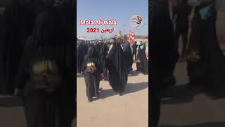 Arbaeen Walk 2021 Najaf to Karbala | سفر عشق | Labaik Ya Hussain a.s | Mola Ali Wala