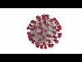 size of the coronavirus vs oxygen and carbon dioxide