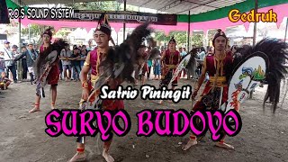 SURYO BUDOYO Jathilan Satrio Piningit Ft Gedruk || Di Tambaklelo, Tambakrejo, Tempel, Sleman