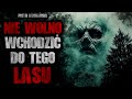 nie wolno wchodzić do tego lasu creepypasta lektor pl