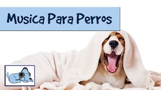 Musica para perros, especial de musica relajante para animales