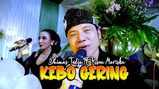 KEBO GERING - DHIMAS TEDJO Ft. Risca Moriska NEW CAHYO MUDHO FIRMAN \u0026 TALITHA PULOGADUNG 0.01.2024