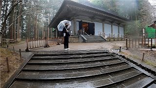 中尊寺金色堂へ　ひっそりとした雨の世界遺産　参道を歩く　なおりさんとタナボタじじいの内容の無い雑談歩き　首から下げたgopuroで撮影するとこんな感じ・・。