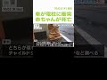 車が電柱に衝突…乗っていた生後４か月の赤ちゃんが死亡　１８歳女性と１７歳少年がケガ「ドライブの帰りだった」　和歌山市（2024年10月3日） shorts