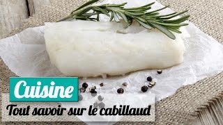 Tout savoir sur le cabillaud