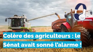 [Podcast] - Colère des agriculteurs : le Sénat avait sonné l’alarme !