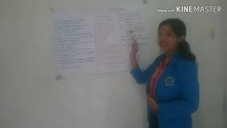 Expression of congratulation and Wish/Mid term Micro Teaching/Evisca Doni Imansari