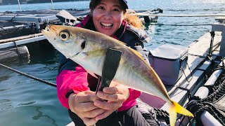 【筏釣り】目指せ尺アジ超え！こんな釣り方でギガアジも釣れる！ Aim for GIANT horse mackerel at Raft fishing.